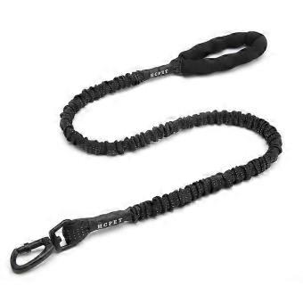Neoprene-Handled Elastic Dog Leash