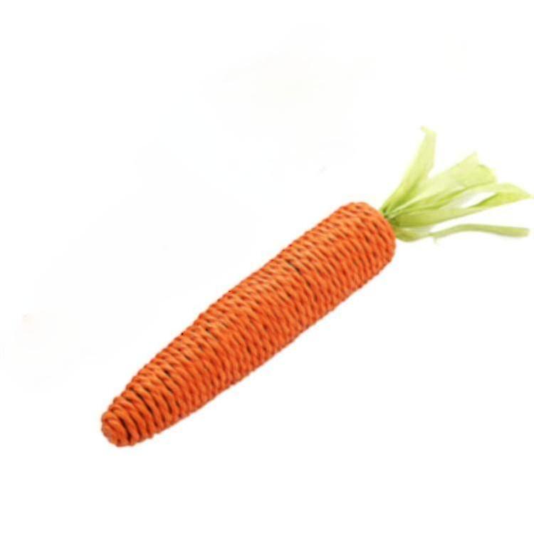 Cute Carrot Shape Pet Chewing Toy
