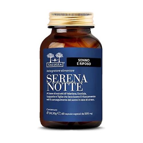 good night 60 capsules