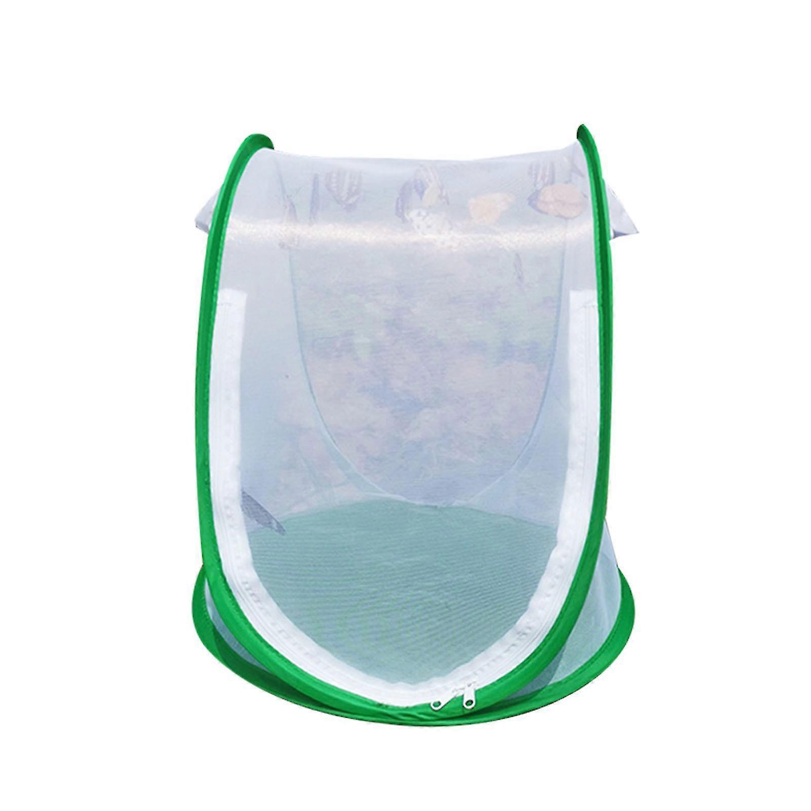 Habitat Observation Net Insect Cage Breeding Box Collapsible Design Enclosure