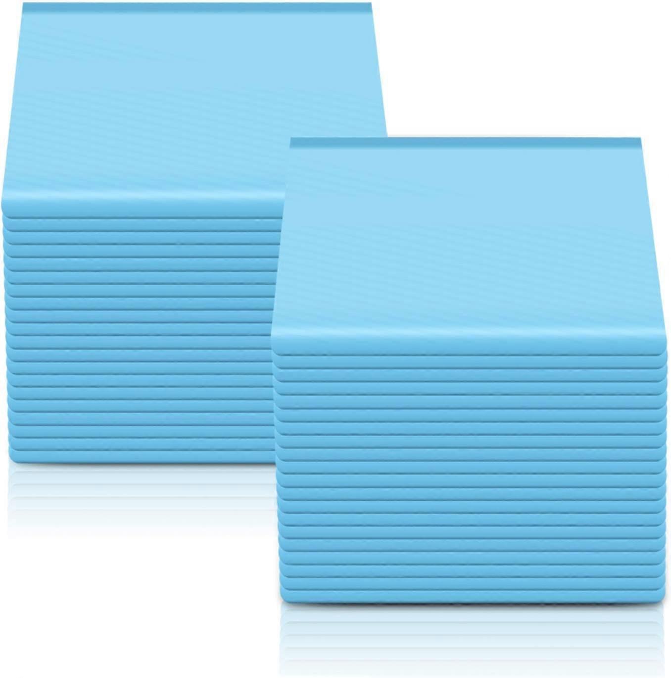 40pcs Tampons d’entraînement à l’hygiène pour chiots de compagnie