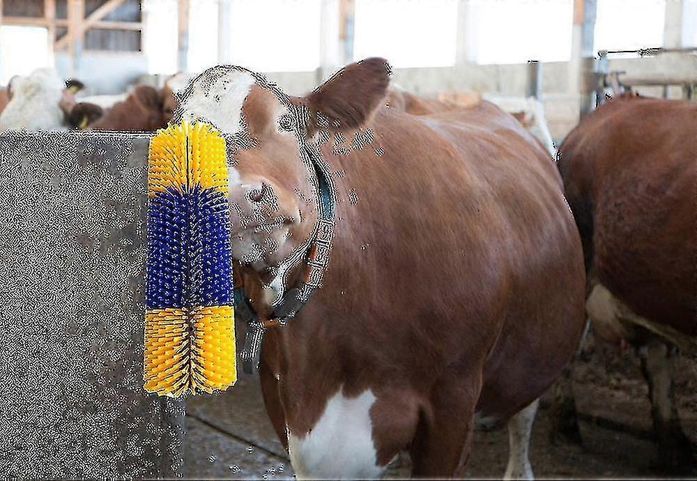 Brush For Horse, Beef, Goat