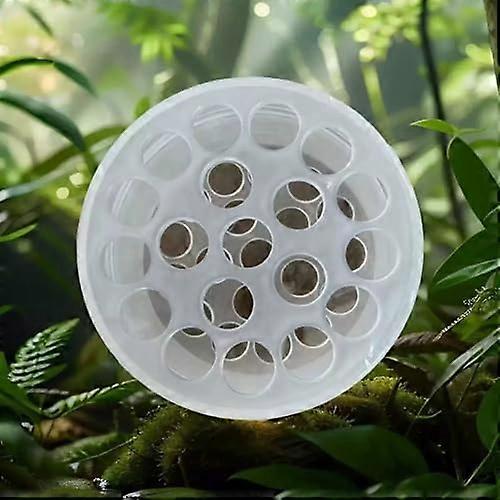 Transparent Flower Arrangement Tool with Clear Spiral Holder Fits All Vase Shapes