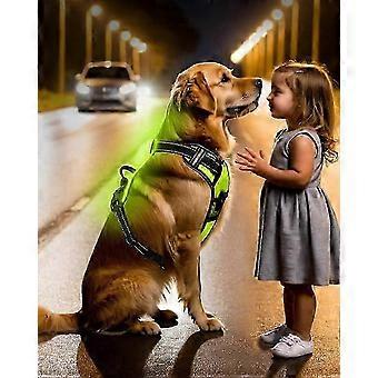 Light Up Dog Harness - LED Dog Harness Rechargeable for Night Walking,Flashing for More Than 20 Hours, Oxford Cloth