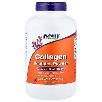 NOW Foods, Péptidos de colágeno en polvo, 8 oz (227 g)
