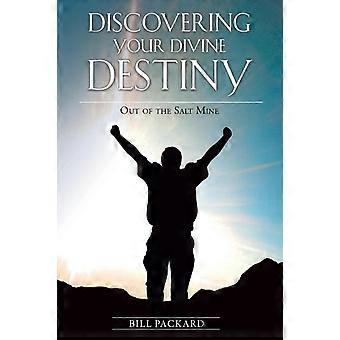 Out Of The Salt Mine - Bill Packard - Paperback - en Book