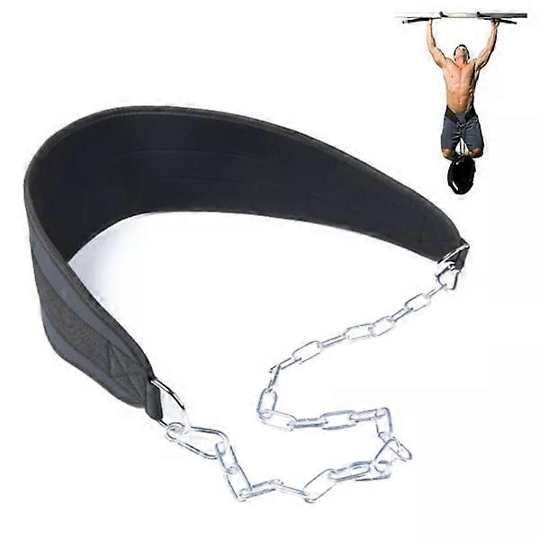 Weighted pull Up Dip Belt Chain Double D-Ring Weightlifting