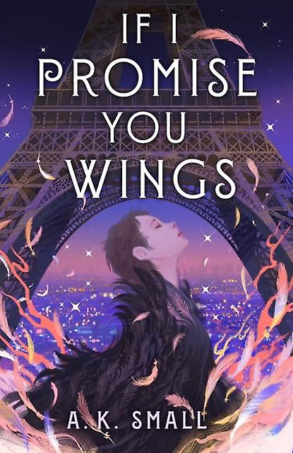 If I Promise You Wings by A.K. Small Hardback Book