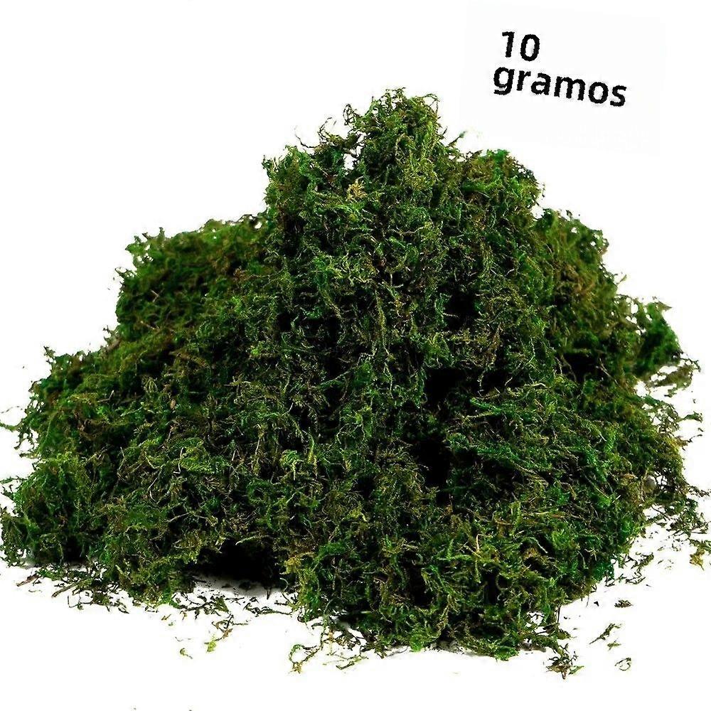 10g Artificial Mojarro Thickened Fake Green Grass for Centerpieces Garden Decoration Kitchen and Home