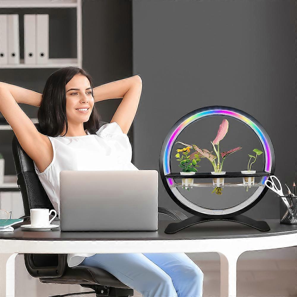 Water Feature Indoor with Light Controller LED Ring Lights Tabletop Ornament 3/9/12H Timer RGB Full Spectrum Hydroponics Waterscape Decorative Lights