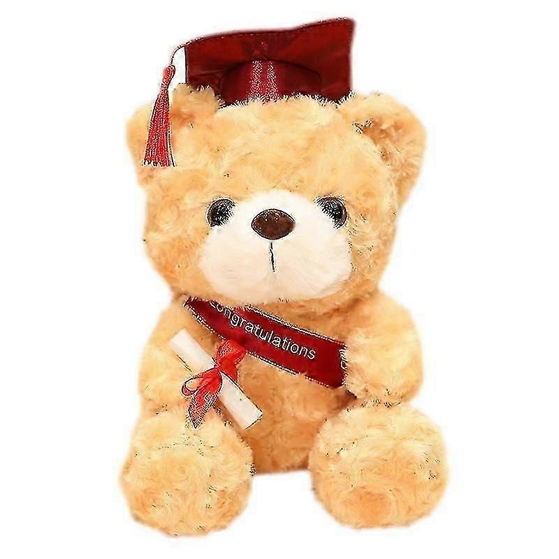 Afstudeercadeau pluche teddybeer knuffeldier Boris