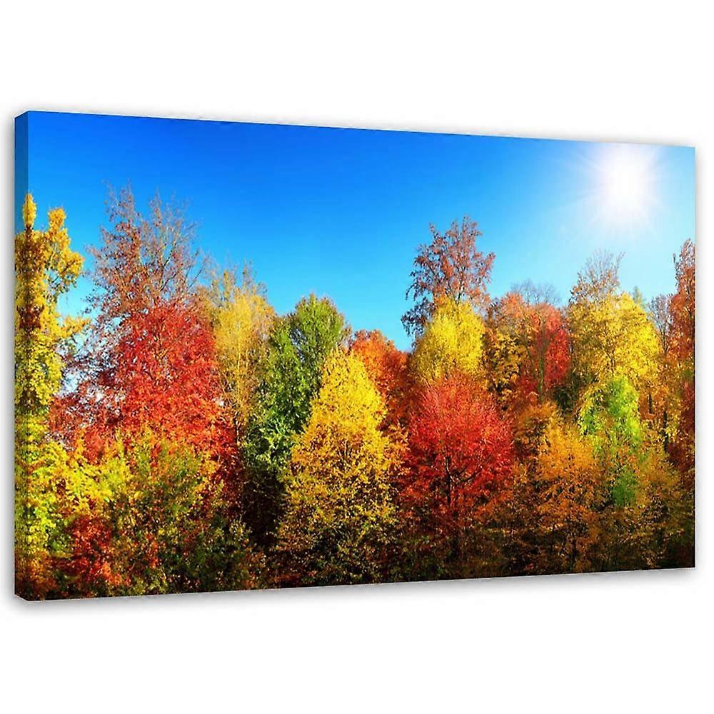 Pânză, Copaci de toamnă - 60x40