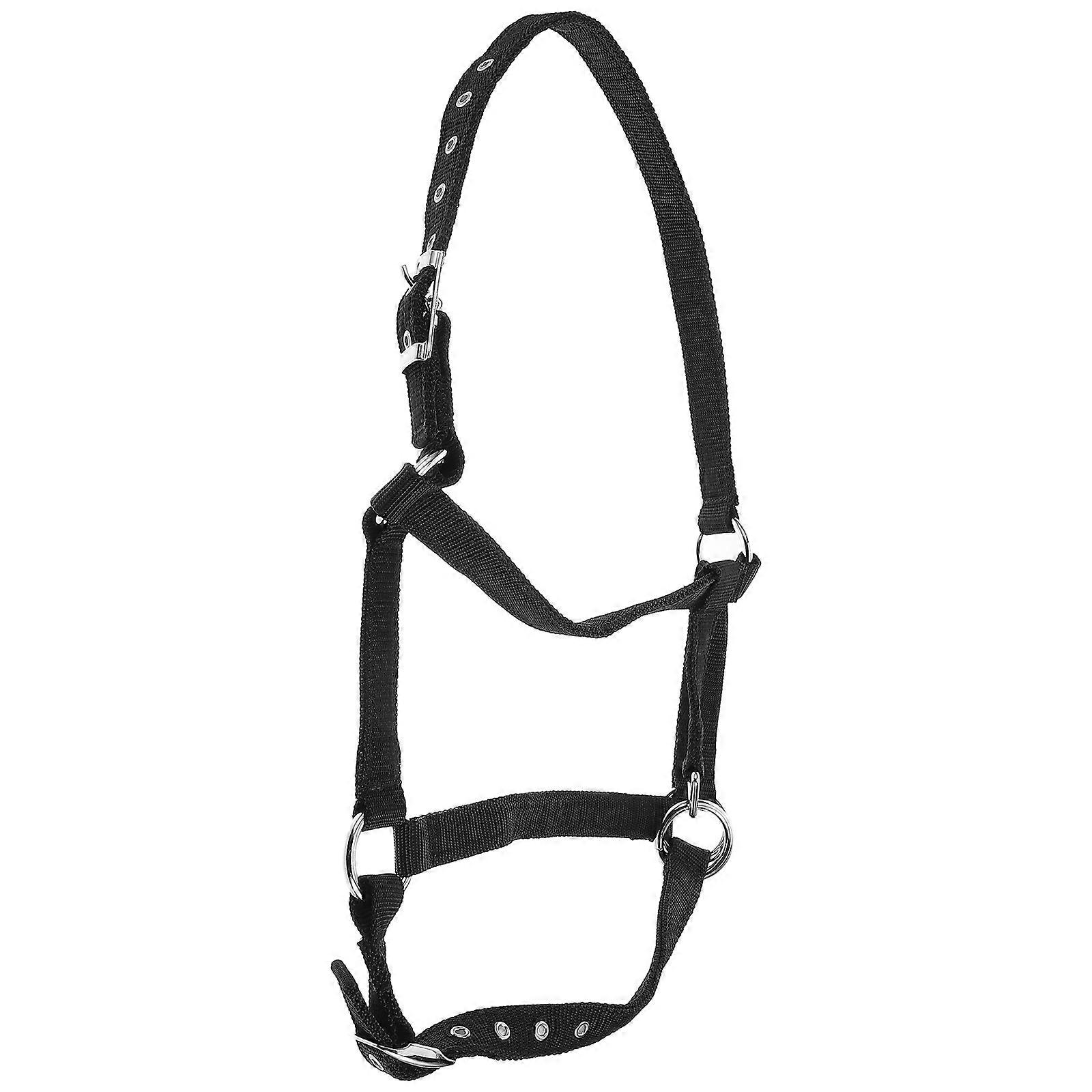 Equestrian Training Horse Halter and Rope Set with Breakaway Feature