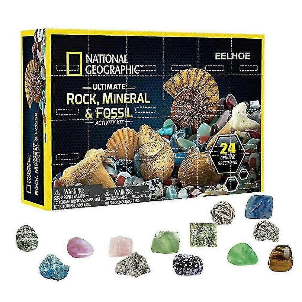 Christmas Stone Fossil Stone Kit Advent Calendar Gift Box Early Education Toy