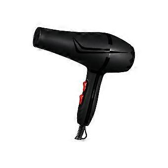 Hair Dryer Fast Drying Low Noise Hair Dryer Travel Hair Dryer For Hair And Curly Hair pp416