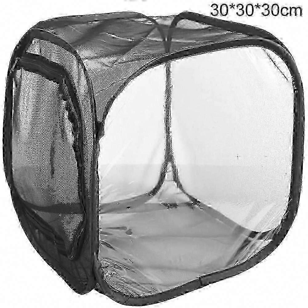 Sort insektsikker netkasse Foldbar plante drivhus observationsbur til sommerfugle og insekter