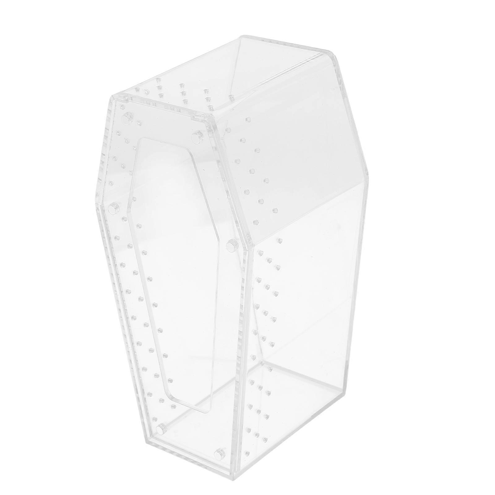 Small Spider Acrylic Feeding Box Transparent Reptile Habitat