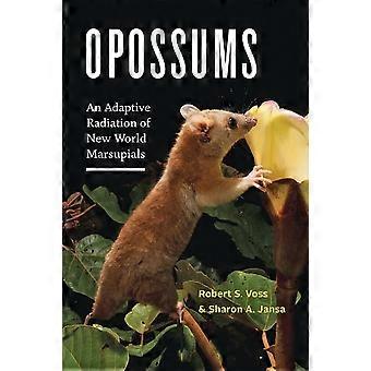 Opossums: Eine adaptive Strahlung von Beuteltieren der Neuen Welt