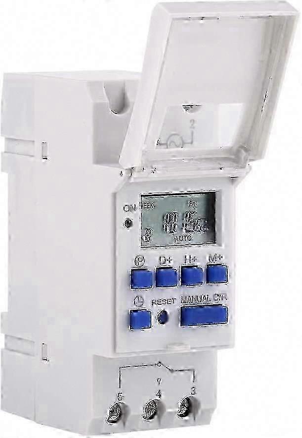 A Digital Programmable Timer