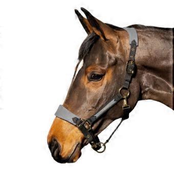 Whitaker Harewood Horse Headcollar