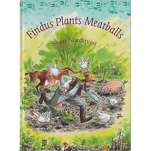 Findus planter Kjøttkaker (barn klassisk)