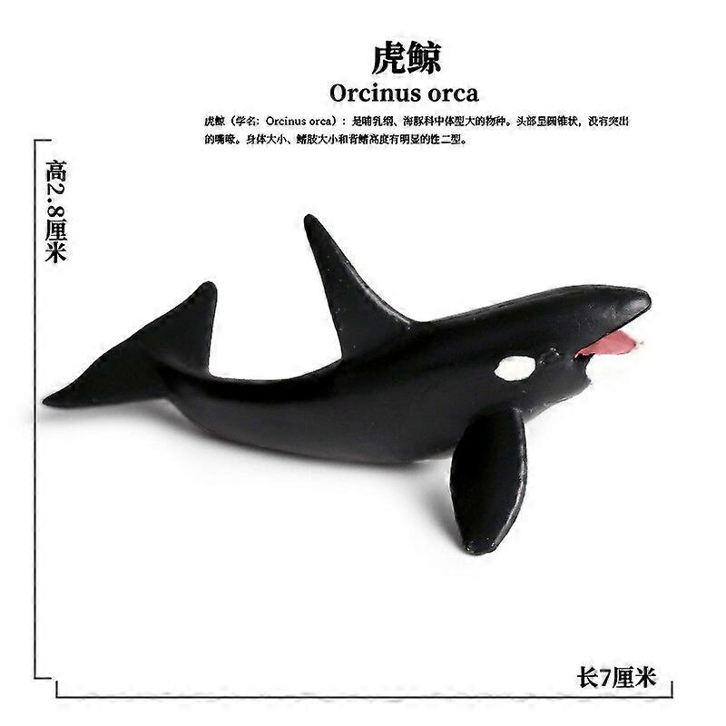 JOKFEICE Set Di Figure Animali Realistiche - Coleottero Rinoceronte E Altri Insetti, Giocattoli Educativi In Plastica Per Bambini 3+, Regalo Compleanno/Natale - 2
