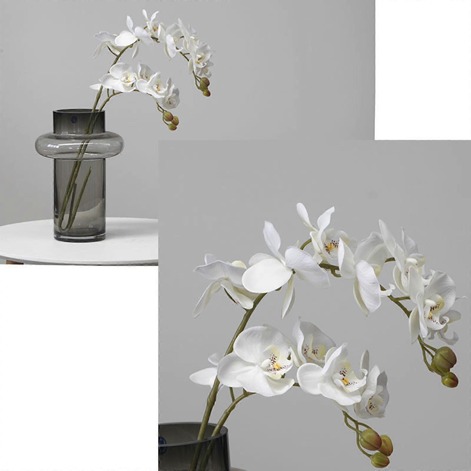 Simulation Phalaenopsis Flowers Branch Artificial Phalaenopsis