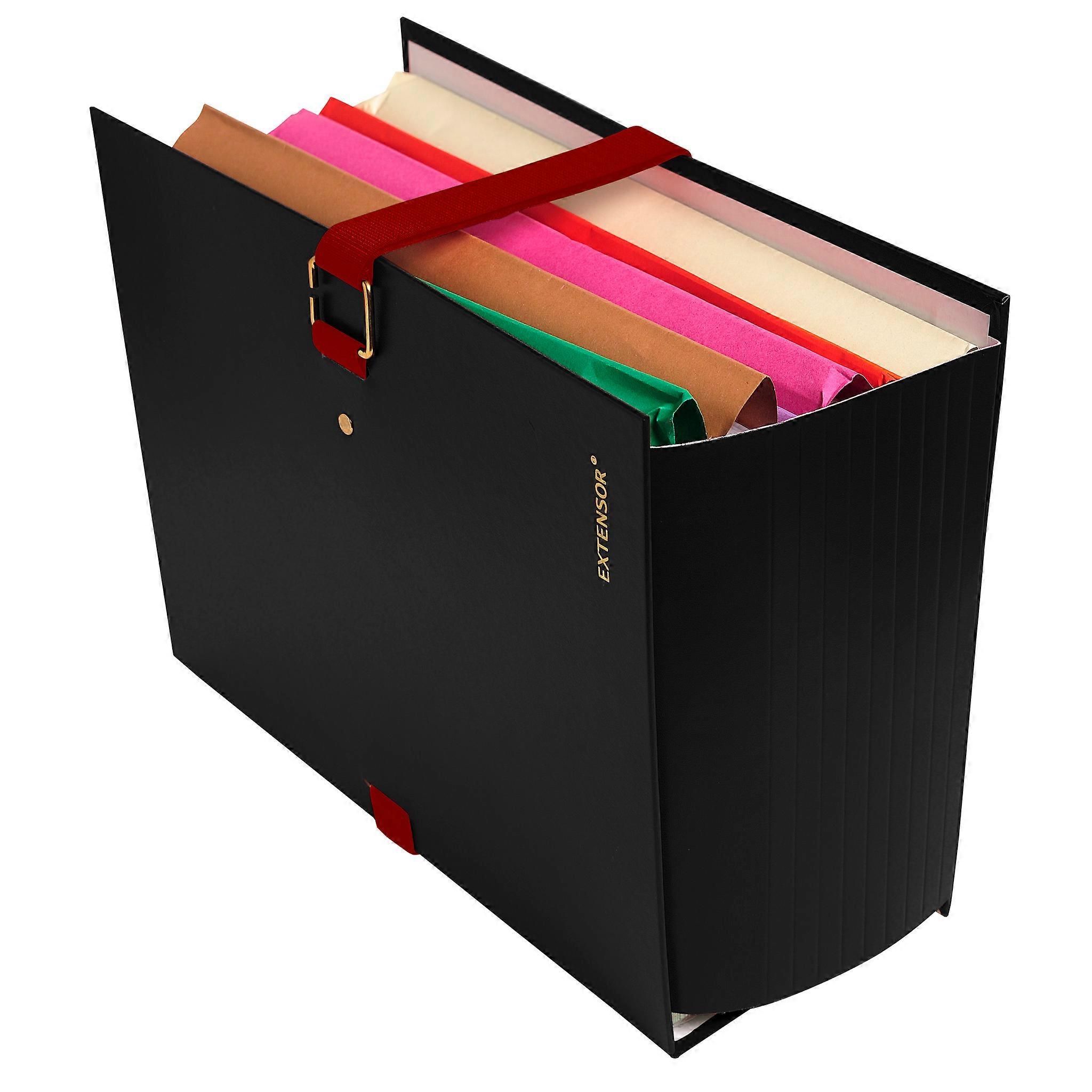 Exacompta 22001E 10x CARP. LOMO EXT. EXTENSOR N.