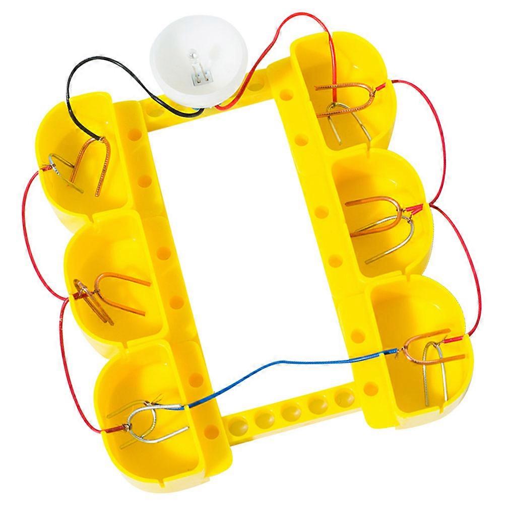 Fruit Electricity Science Experiment Kit for Elementary , Hands On Electronic Physics Discovery with Growing Kit