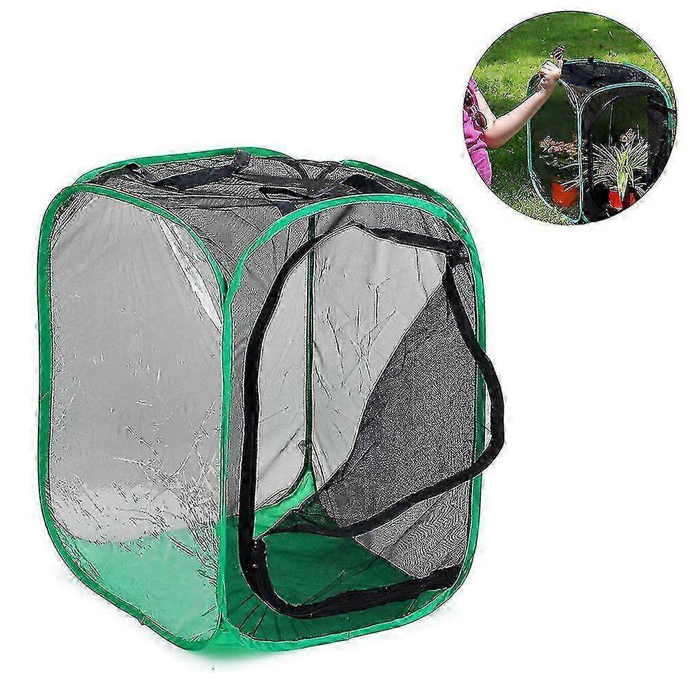Tall Large Butterfly Habitat Cage Collapsible Terrarium Pop-up Lnches , Insect And Net For Raising Inserts