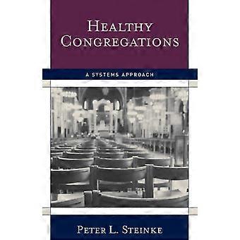 Congregações Saudáveis: Uma Abordagem Sistémica - Peter L. Steinke