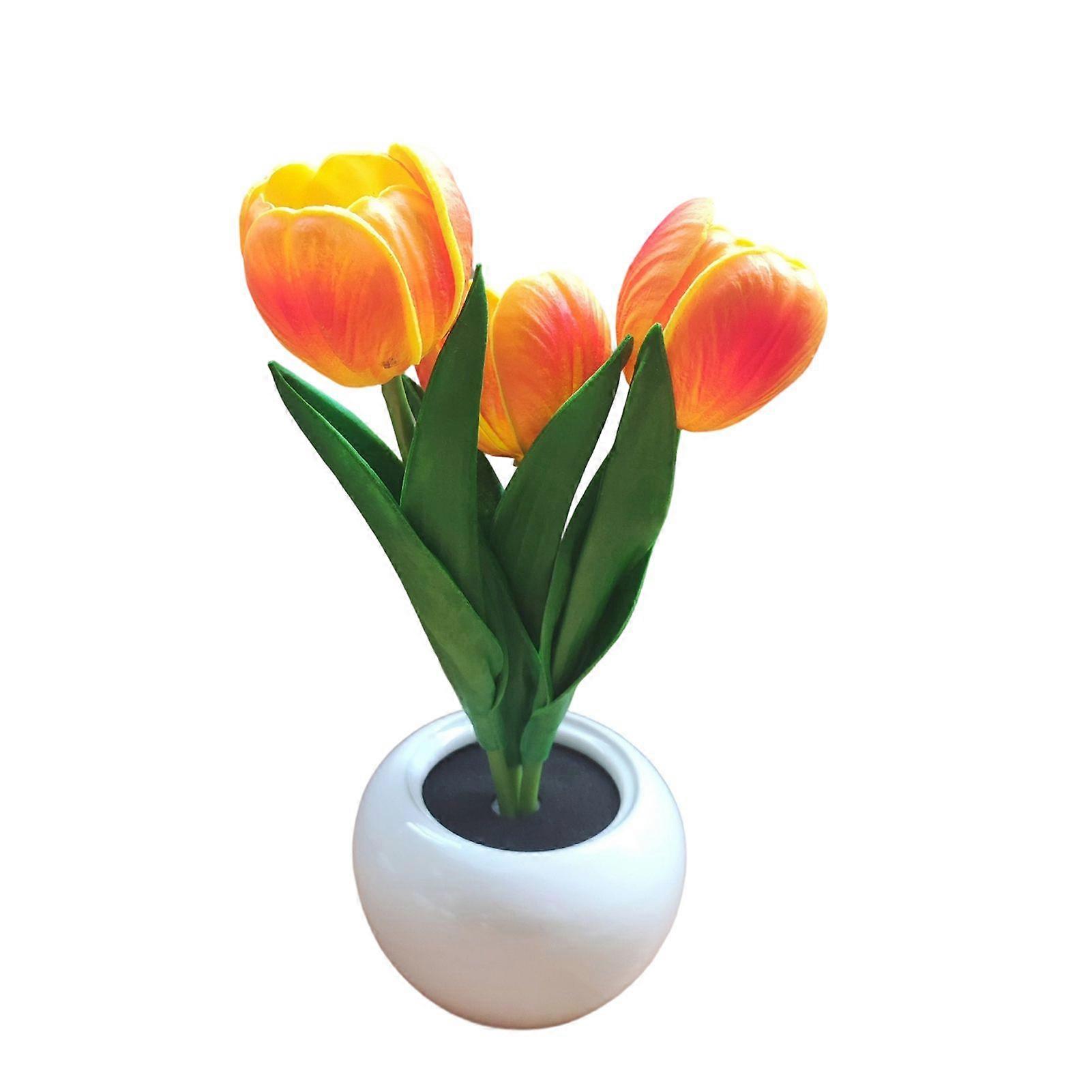 Home Garden Lighting Night Lights Ambient Lighting B9547