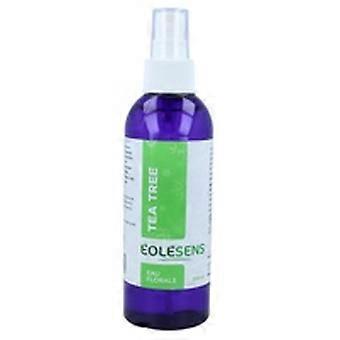 Organic Tea Tree Floral Water 200 ml of floral water