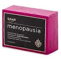 Menopause 60 capsules