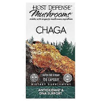Host Defense, Hongos™, Chaga, 120 cápsulas (0,5 g por cápsula)