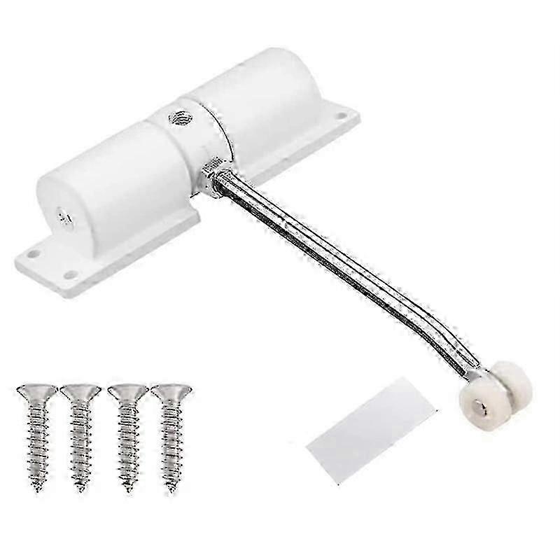 Metal Automatic Door Closer 30kg