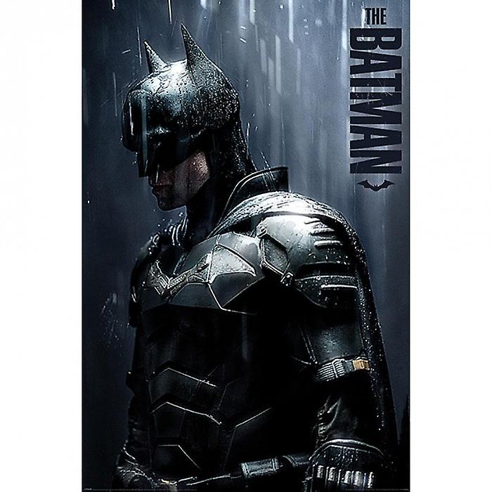Batman Downpour Poster