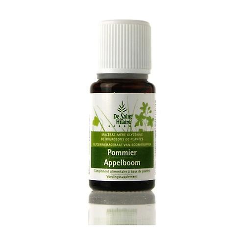 Organic Apple Macerate 30 ml