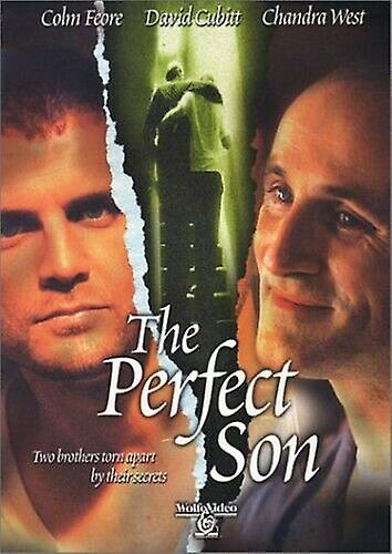 Perfect Son [DVD] [2001] [Region 1] [US DVD