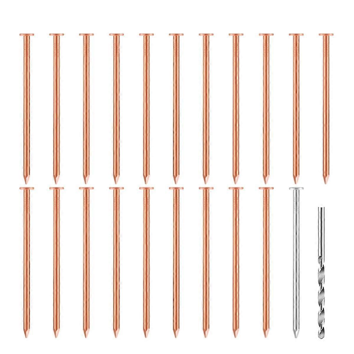 20 Pcs Copper Nails for Killing Trees, Stumps & - 3.5 Inch Long Come with 1 Steel Nails and 1 Drill