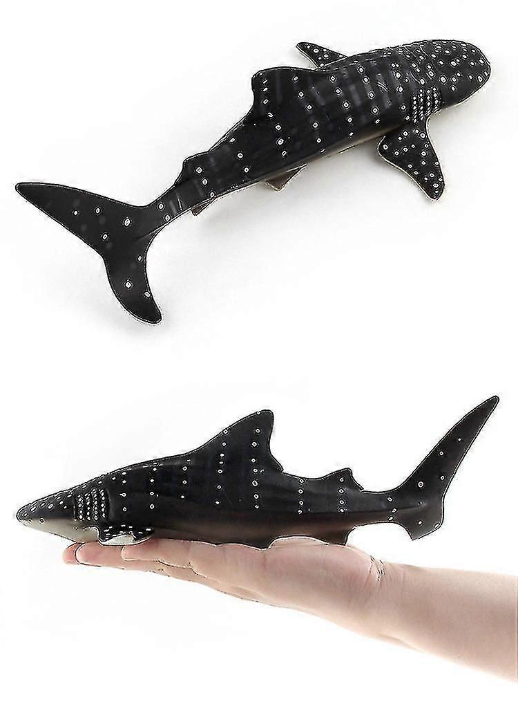 模擬海洋動物モデル固体シミュレートクジラナルワール様々なクジラモデル