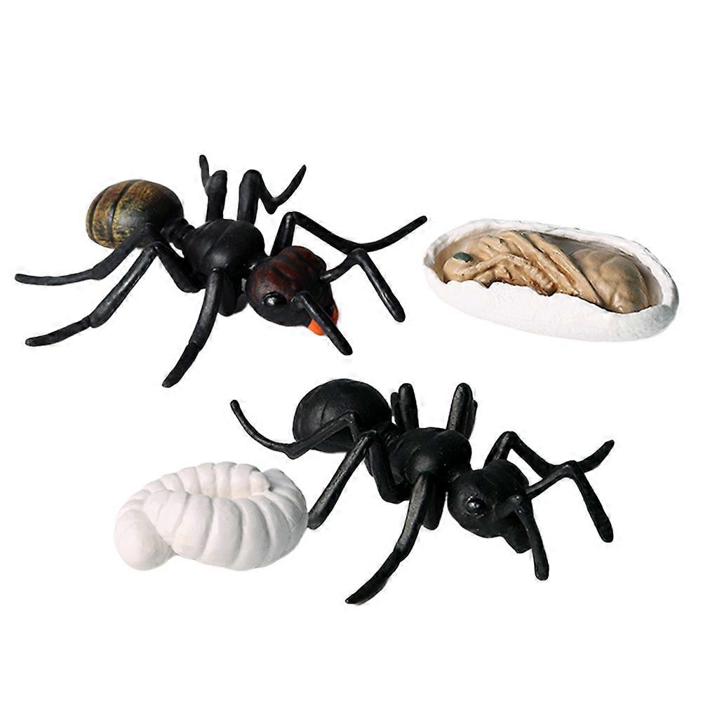Ant Model Artificial Ant Toys for Decoration 5Pcs Simulation Animal Set