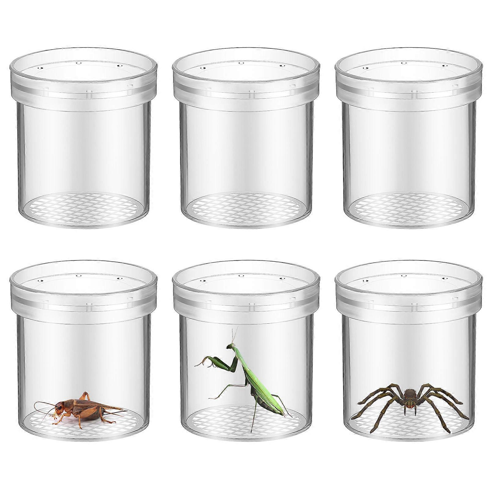 Magnifying Viewer Transparent Plastic Cage for Outdoor Bug Collecting 12Pcs