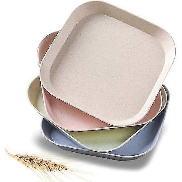Unbreakable And Reusable Lightweight Dinner Plates