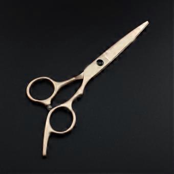 Professional Hair Thinning Scissors Stainless Steel Shears for Stylists Barbers Salon and Home Use
