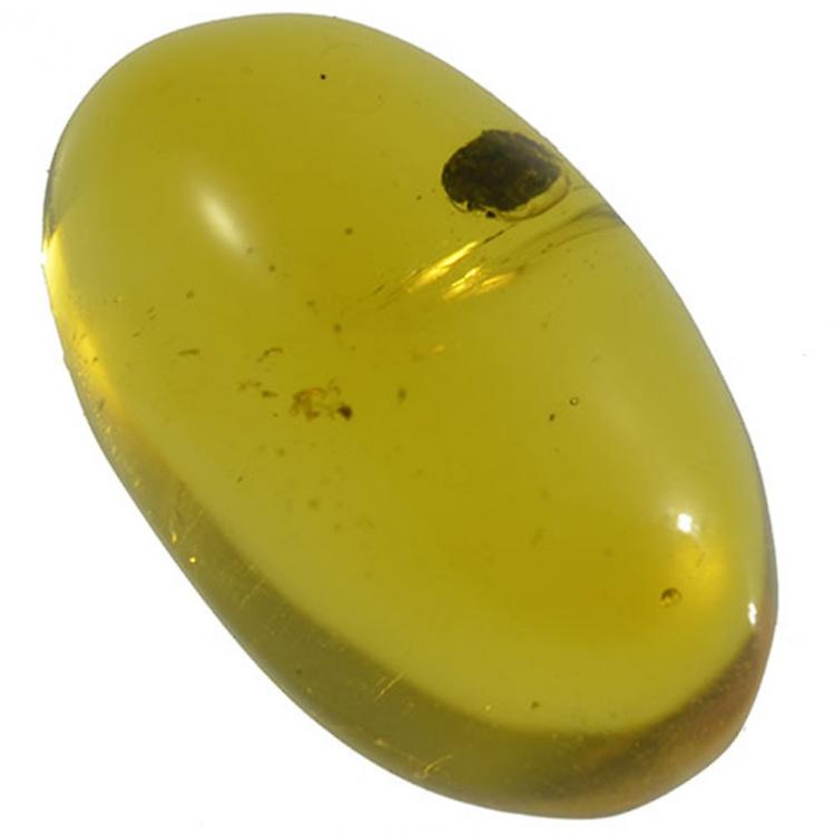 3.82ct Amber Cabochon Oval 18x10mm awo69