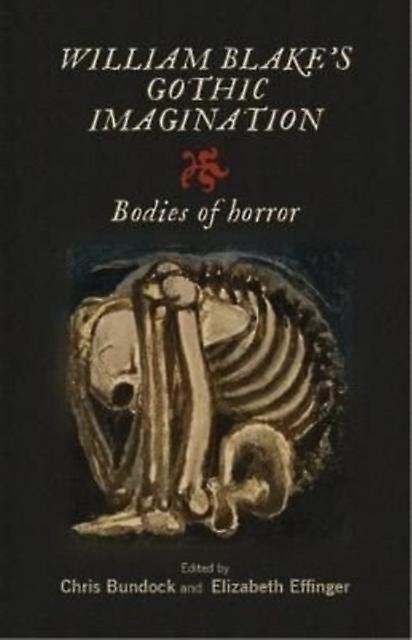 William Blakes Gothic Imagination Paperback Book