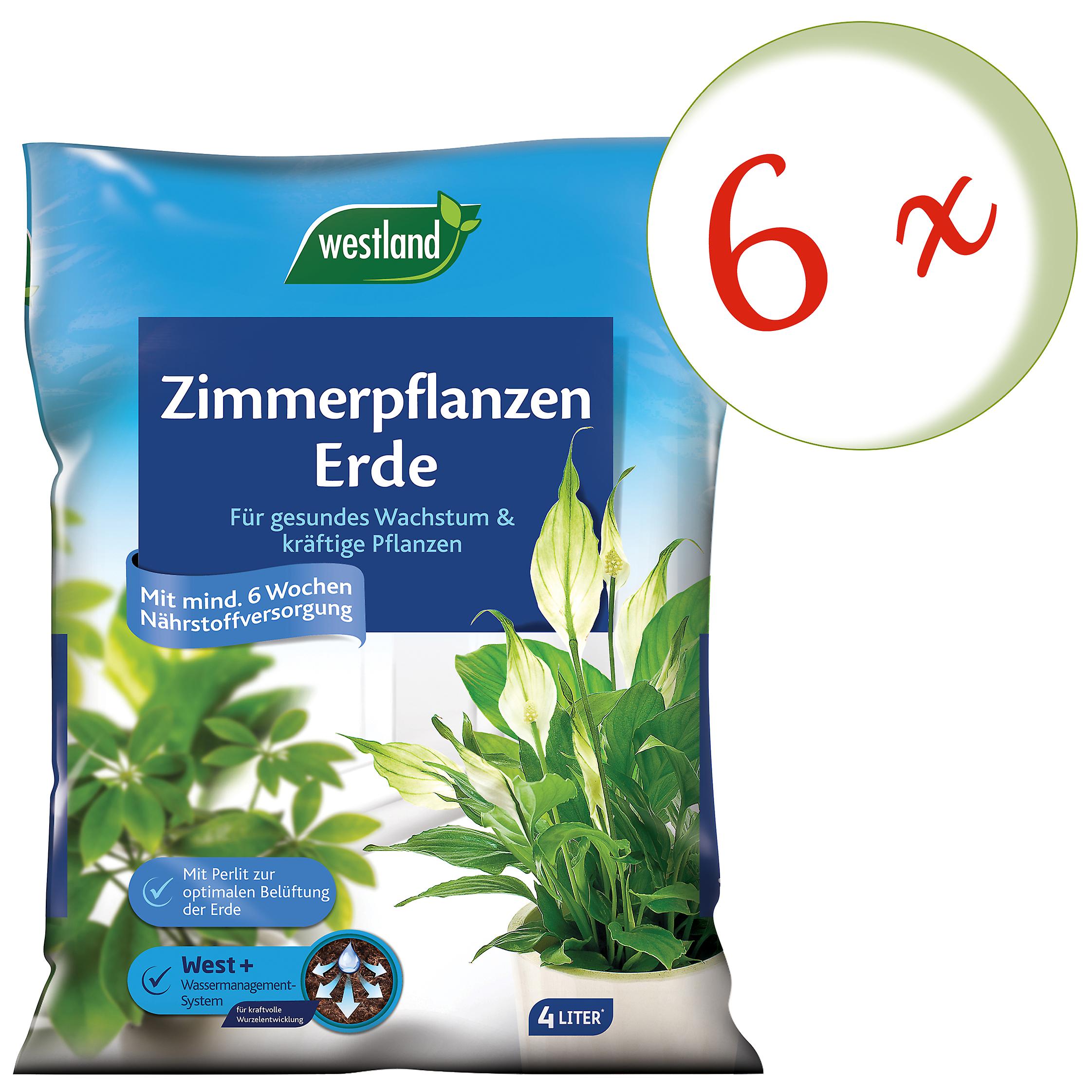 6 x WESTLAND® houseplants soil, 4 liters