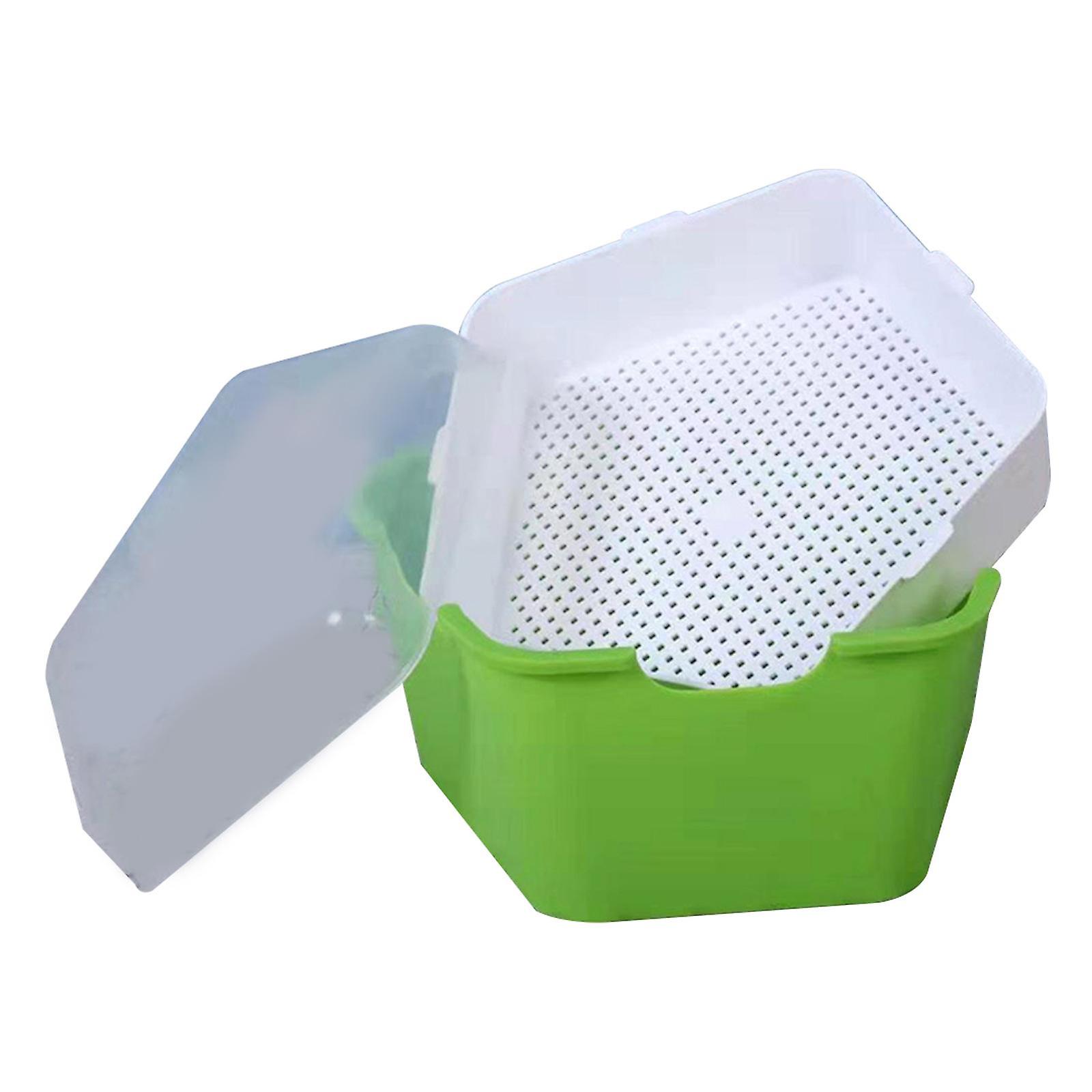Seed Sprouter Tray with Lid Kit Garden Plant Germination Wheatgrass Sprouter Green