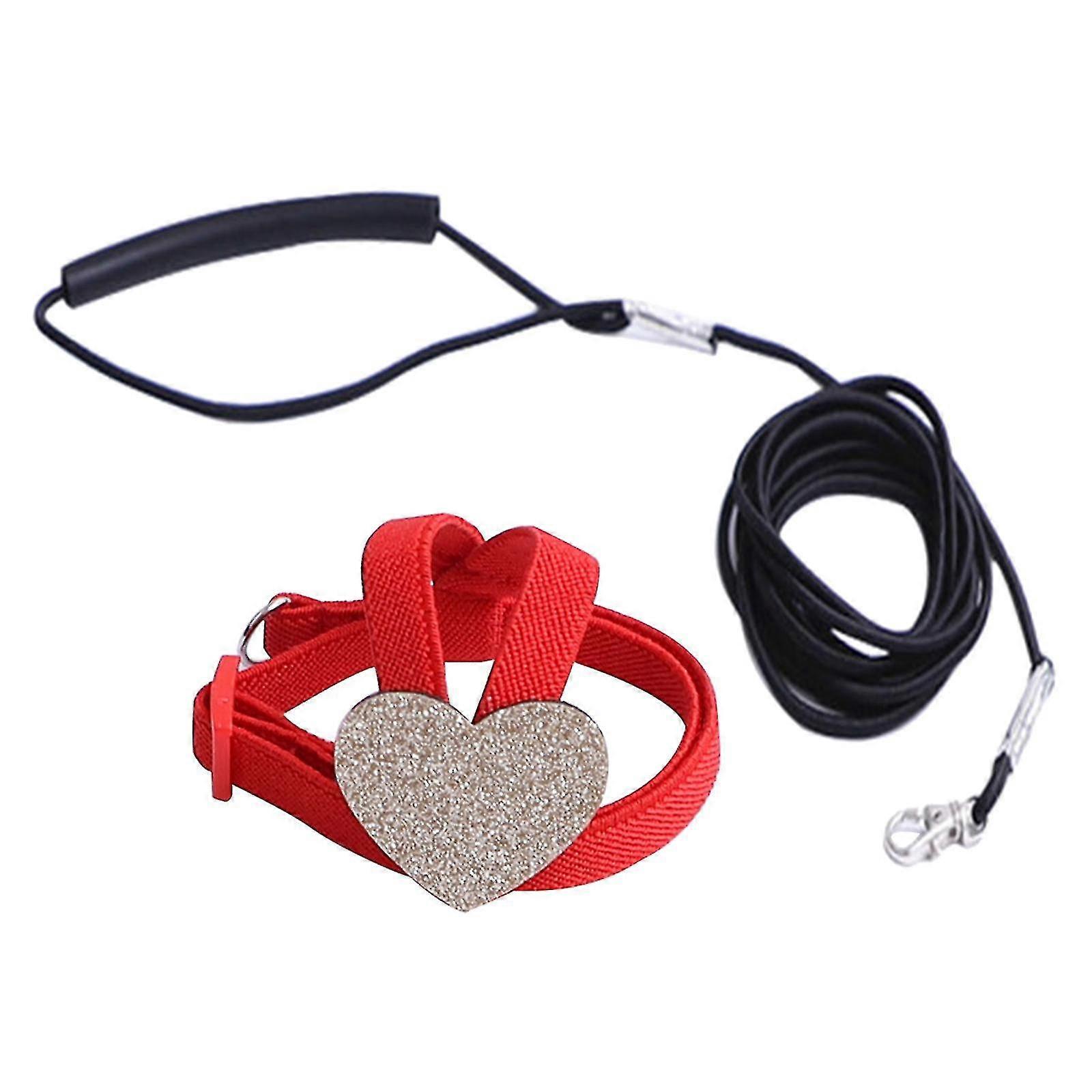 Parrot Carrier And Leash Set Flight Leash For Parrots